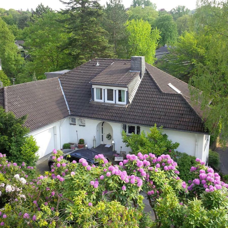Hortensie Hébergement de vacances
